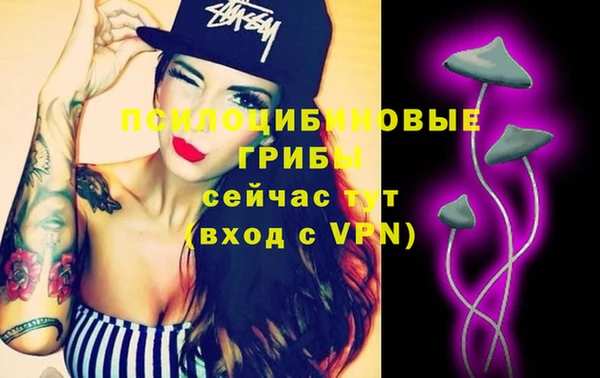 спайс Алзамай
